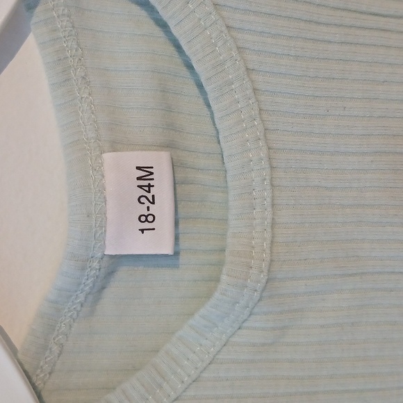 Mint Green Sleeveless Top with Floral Embroidery - Picture 3 of 4